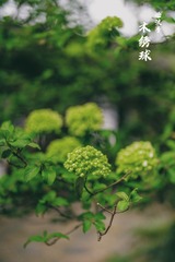 5CAB43DB-F404-4952-A50C-89D80FC631B9/L0/001