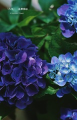 22E8626F-3A71-40C1-9377-F06B908AC6BA/L0/001