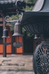 广富林-2