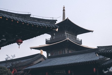 广富林-8