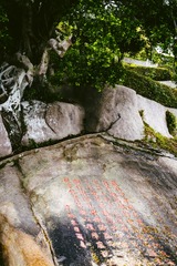 鼓浪屿-120