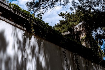 北京-18