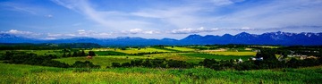 IMGP8888-64