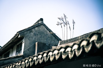 IMGP6452-2
