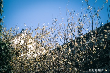 IMGP6465-3