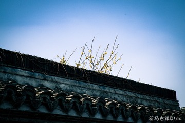 IMGP6487-1