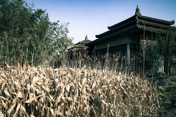 IMGP6581-1