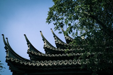 IMGP6510-1-2