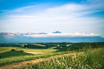 IMGP9219-1