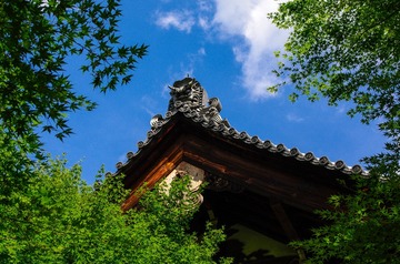 _IGP7364-1
