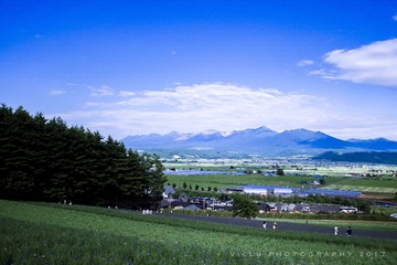 富良野-38