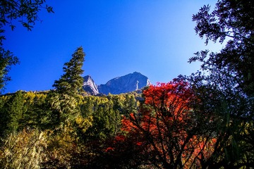 四姑娘山-9