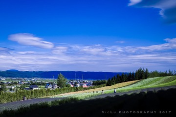 富良野-32