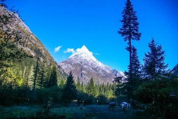 四姑娘山-5