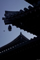 2D5E61D9-3684-4213-83E1-192F0FD3EF91/L0/001