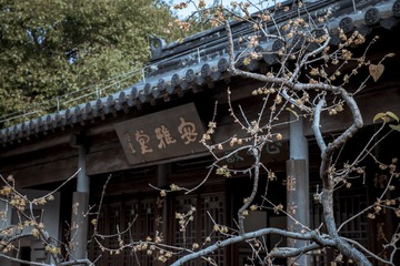 广富林-32