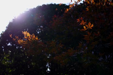 B821A5DD-A358-4F46-99FC-B21BD2EC2816/L0/001