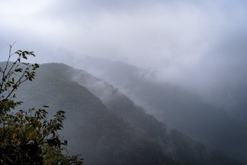 安吉山-52