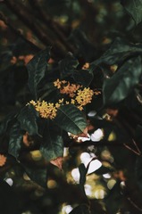 72D86F67-0577-4E31-B28A-14F74662D704/L0/001