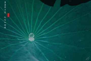0458E0D8-76BF-4DBA-8D2F-9BDF1EDCE176/L0/001