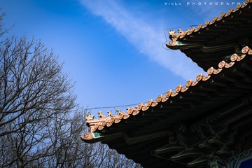 孝陵-35