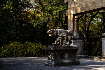 灵谷寺秋色-22