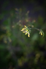 F72259D8-B8A3-4125-BC9C-B443142248BE/L0/001
