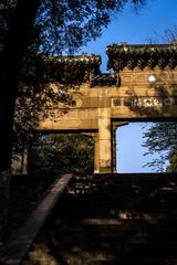 灵谷寺秋色-18