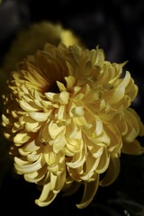 A76C197D-EBDB-4AEF-BD90-5236840FF909/L0/001
