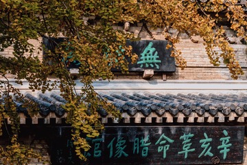 74F3D4C0-D573-43DB-A509-5E5EBF4B62FF/L0/001