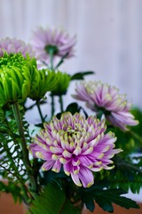 7F756763-90C2-4AD2-90D5-ED9DBE837090/L0/001