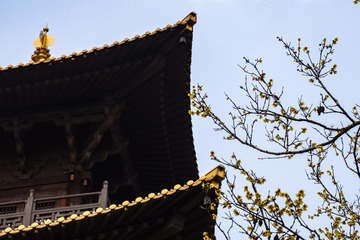 广富林-38