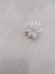 365270