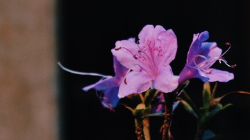 8444DD6E-AAB0-4535-93A1-1F0413FE4DC1/L0/001