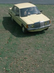 FA83B03D-E2F0-42EC-A50F-2F6A9D5E2B00/L0/001