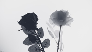 822386