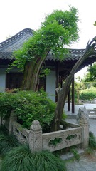 L1070346