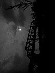 55015