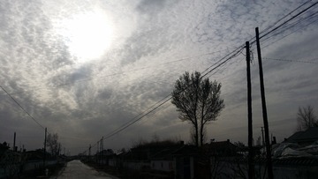 316763