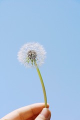 115806