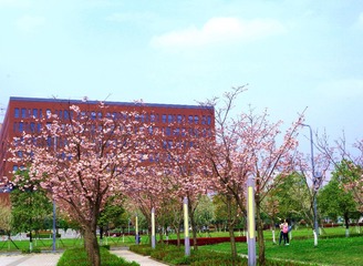 20135044-5
