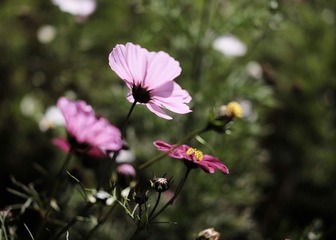 2016_1001_23480000-01
