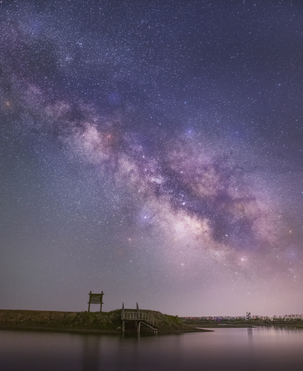 星空下的野鹿荡