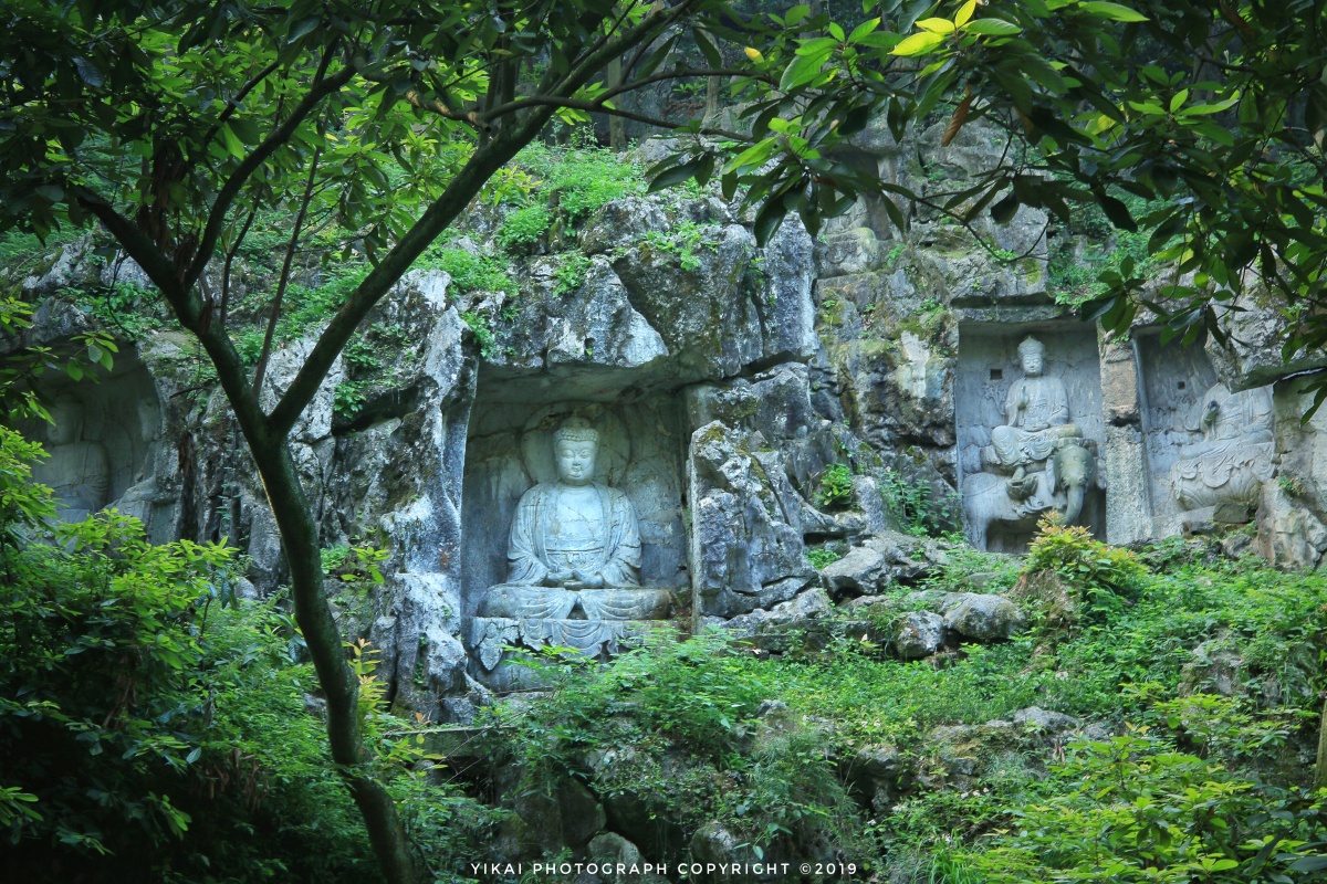 题破山寺后禅院清晨入古寺初日照高林曲径通幽处禅房花木深山光悦鸟性