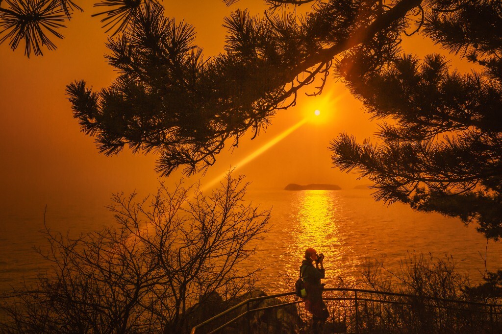 夕阳挥撒毓金雨  苔藓仰迎沐浴欢<br />
近瞧霞光伴人舞  远眺海中卧龙翻<br />
<br />
拍摄于大连滨海路