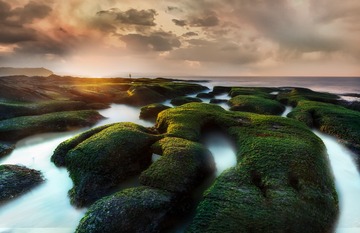 海岸奇石