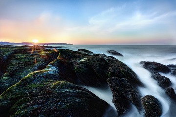 翘首沐夕阳
