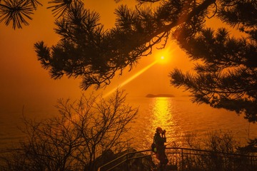 夕阳挥金