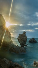 海马浴金光