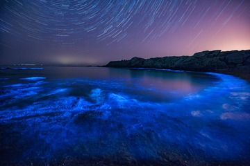 梦幻荧光海湾